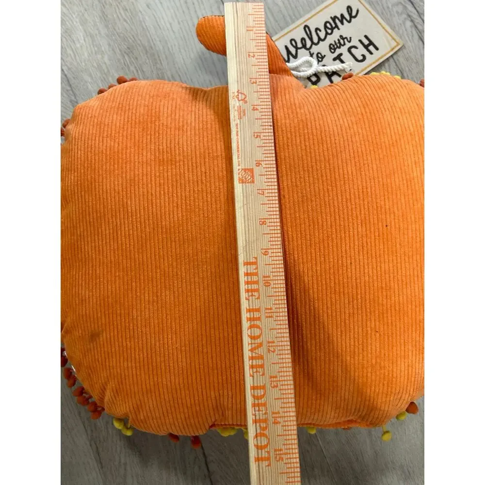 Unknown adorable orange